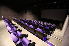 GOLD MULTIPLEX-KINO • ORAN • ALGERIEN