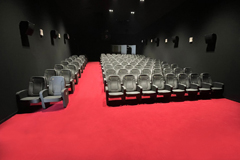 CINÉMA LE VIKING • LE NEUBOURG • FRANKREICH