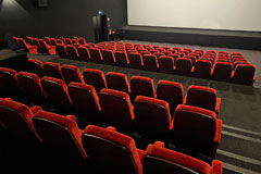 LES 400 COUPS SALLE 5 • ANGERS • FRANKREICH